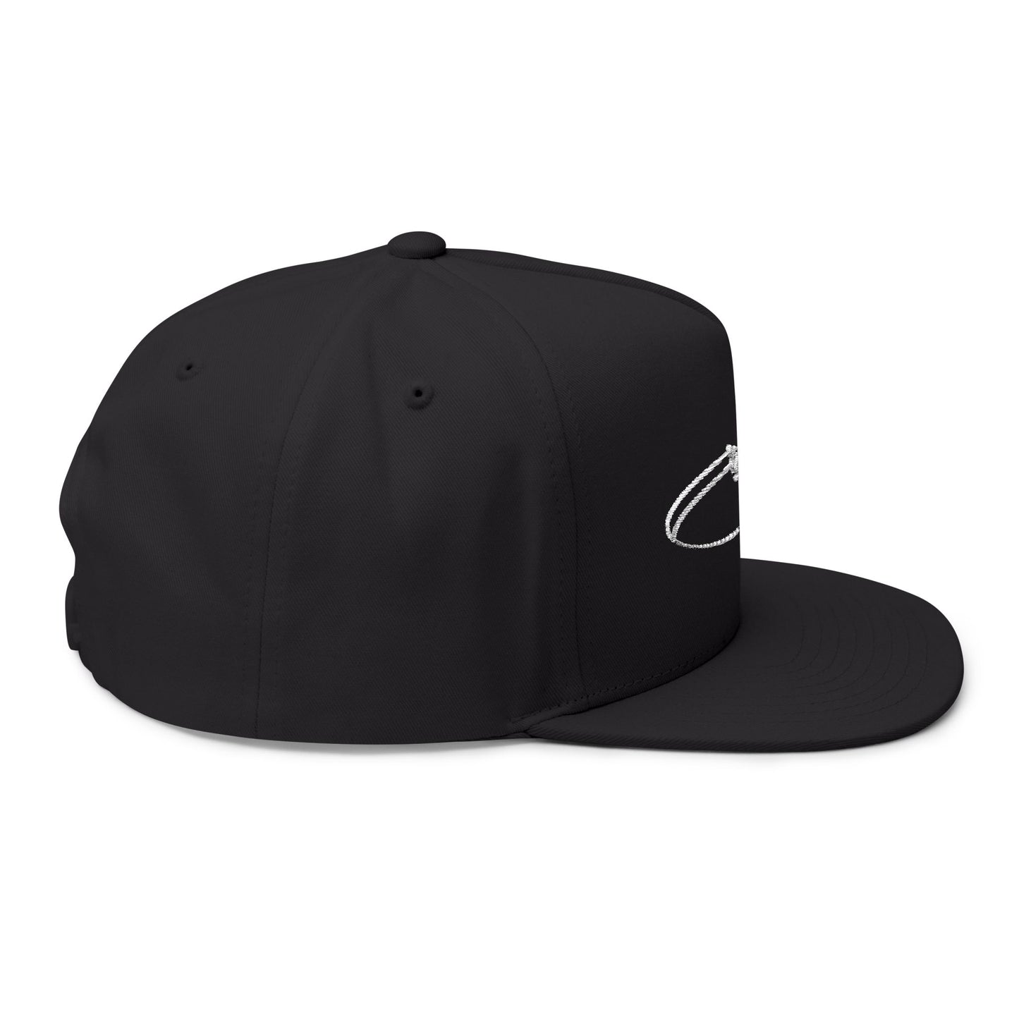 Sun Seeds Embroidered Flat Bill Cap