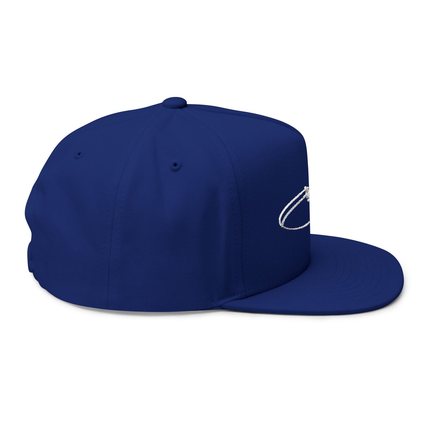 Sun Seeds Embroidered Flat Bill Cap