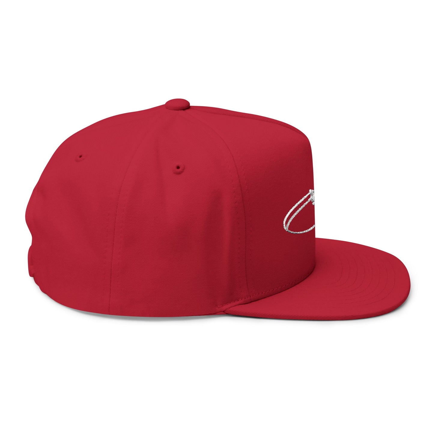 Sun Seeds Embroidered Flat Bill Cap