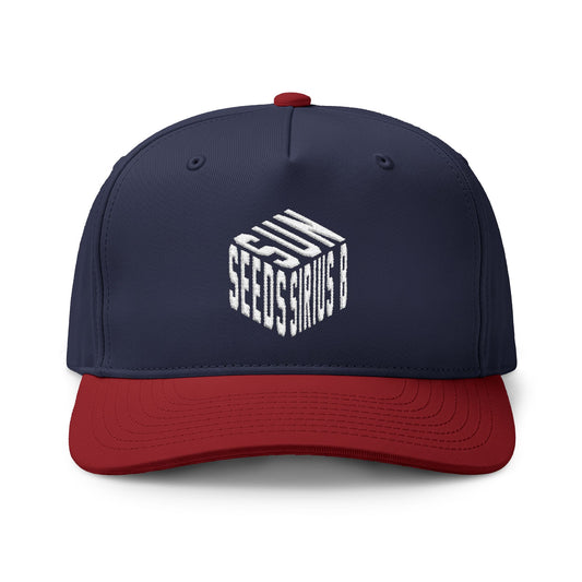Cubism Class Two-Tone Cap