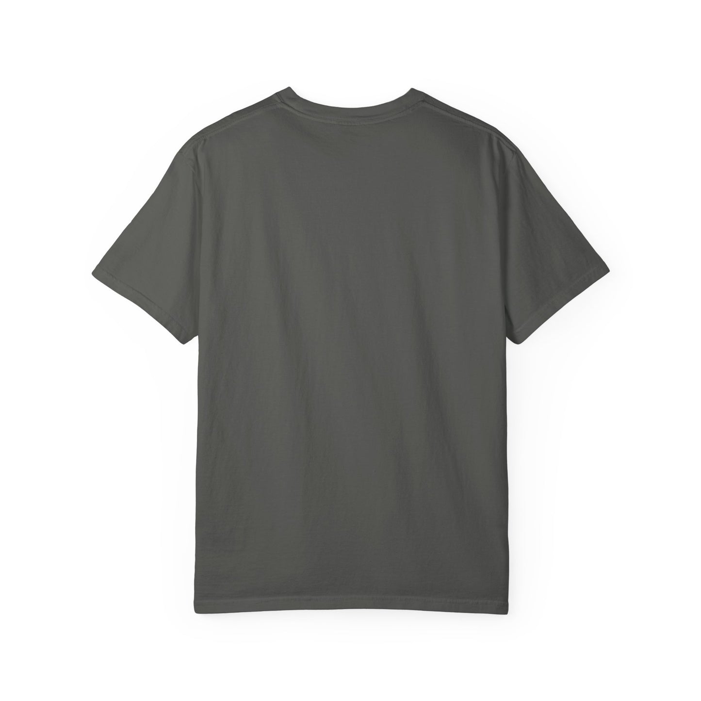 BHTB Pass Unisex Garment-Dyed T-shirt