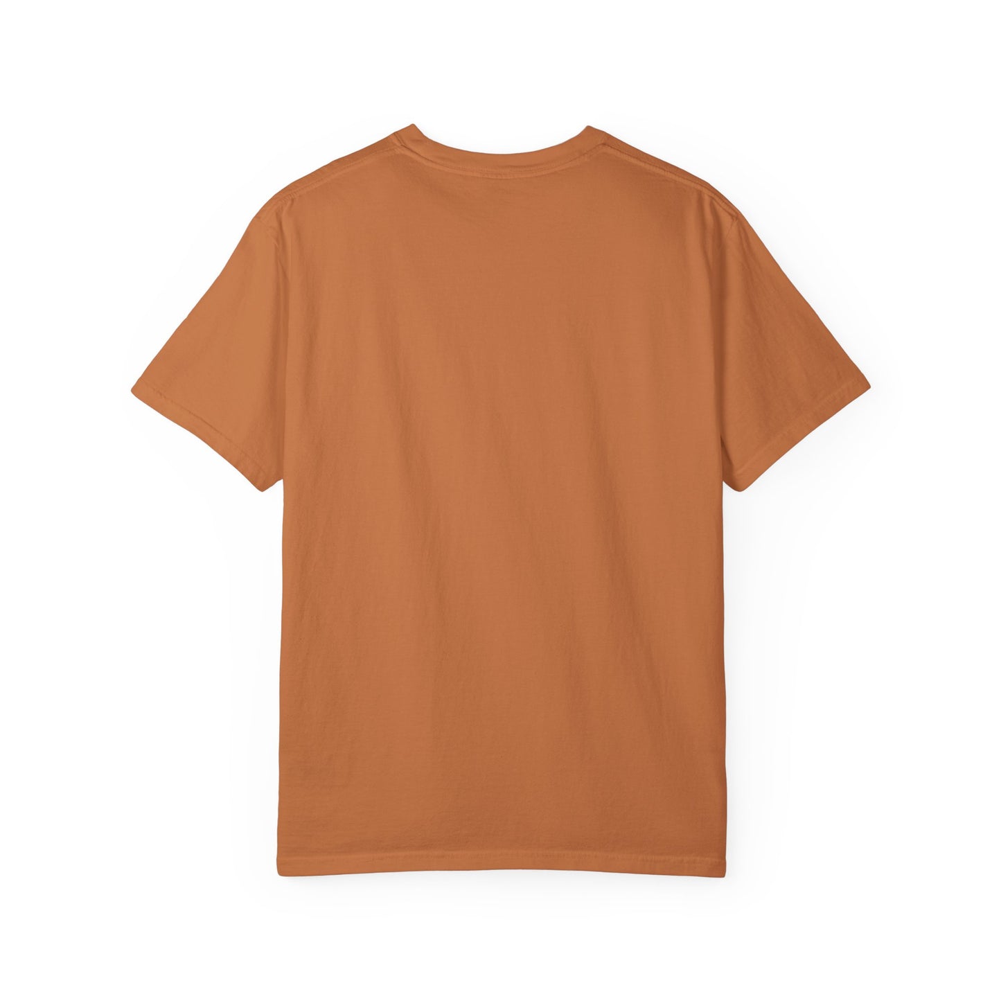 BHTB Pass Unisex Garment-Dyed T-shirt