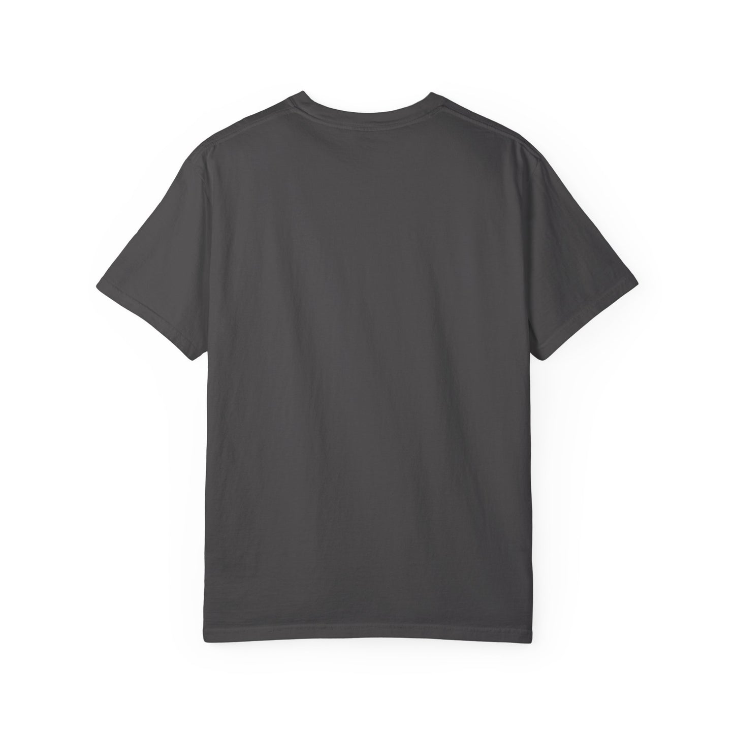 BHTB Pass Unisex Garment-Dyed T-shirt
