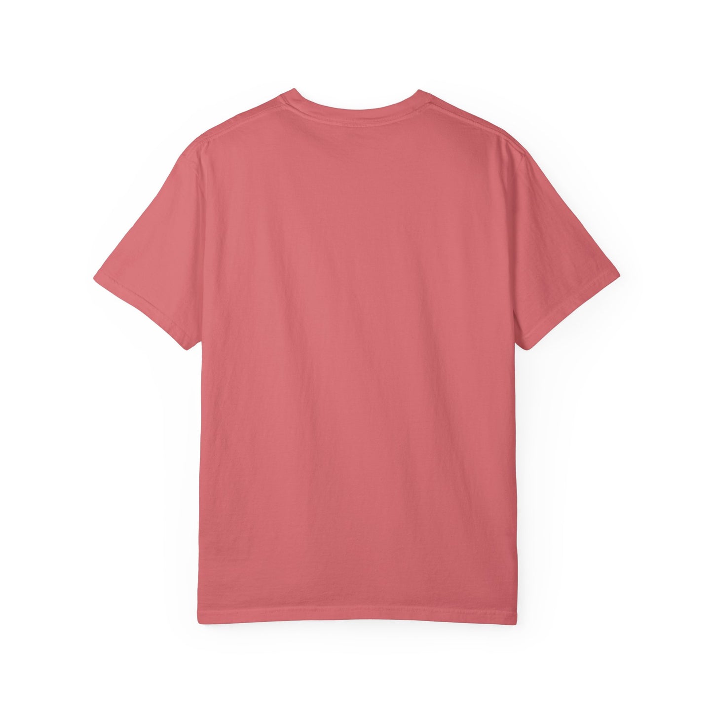 BHTB Pass Unisex Garment-Dyed T-shirt