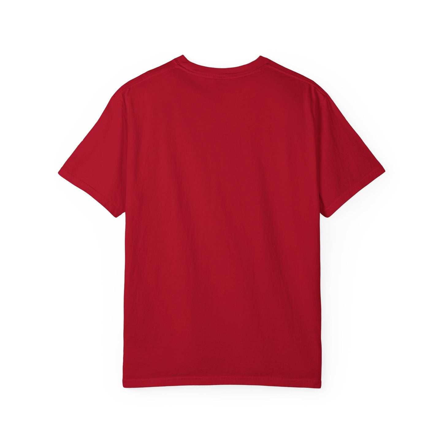 BHTB Pass Unisex Garment-Dyed T-shirt